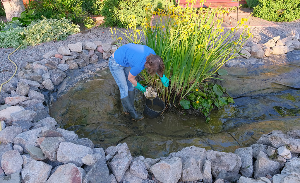 A person planting tall green pond plants in a large in-ground pond.