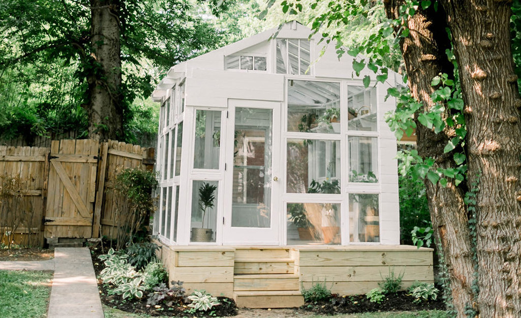 Several steps lead to the front door of a backyard greenhouse made of windows sitting on a wooden platform.