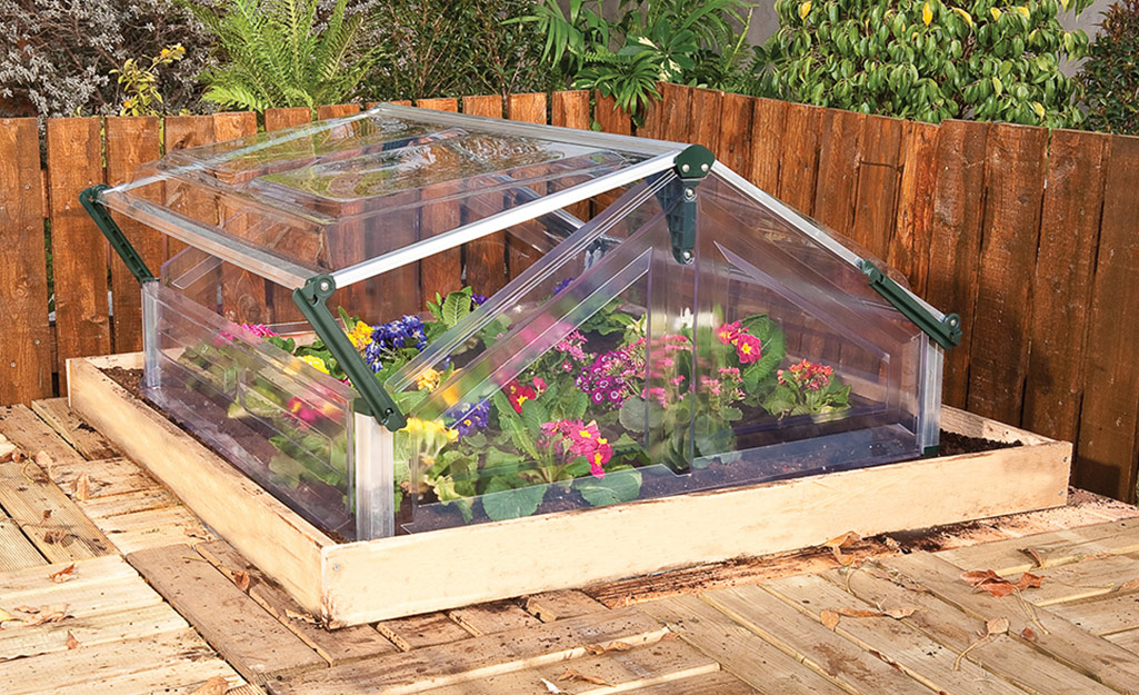 Flowers bloom in a raised flower bed covered by a mini greenhouse with one open roof panel.
