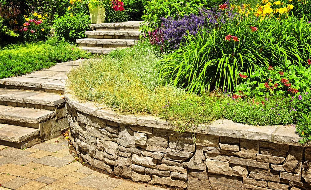 A natural stone retaining wall with capstones and lush garden beds.
