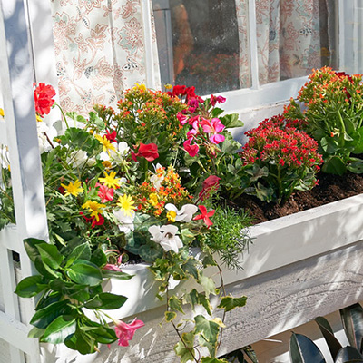 How to Build a Window Box Planter