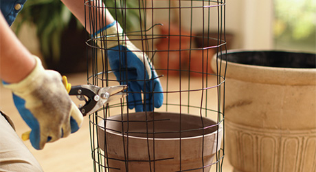 Shape wire fencing cylinder - Build a Flower Tower Shape wire fencing cylinder - Build a Flower Tower