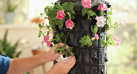 Add flowers - Build a Flower Tower Add flowers - Build a Flower Tower