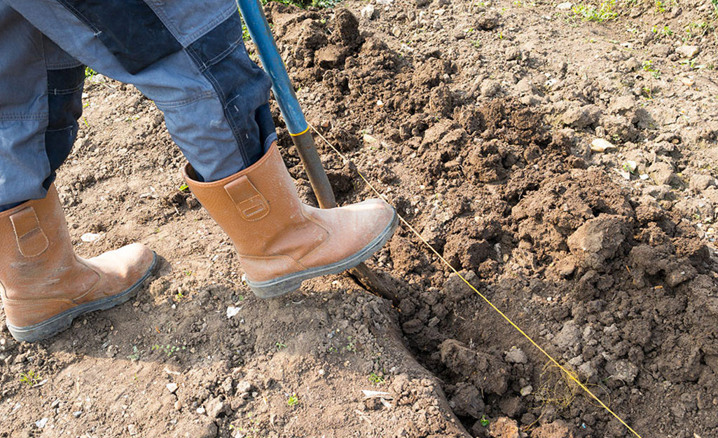 A person digging a trench with a shovel. A person digging a trench with a shovel.