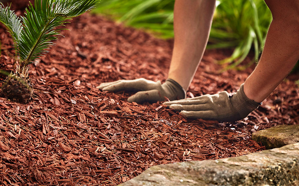 A person lays red mulch in a garden bed.