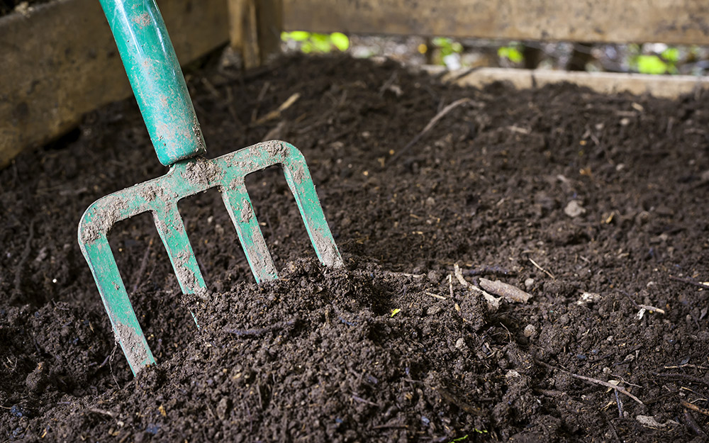 A garden fork embedded in topsoil.