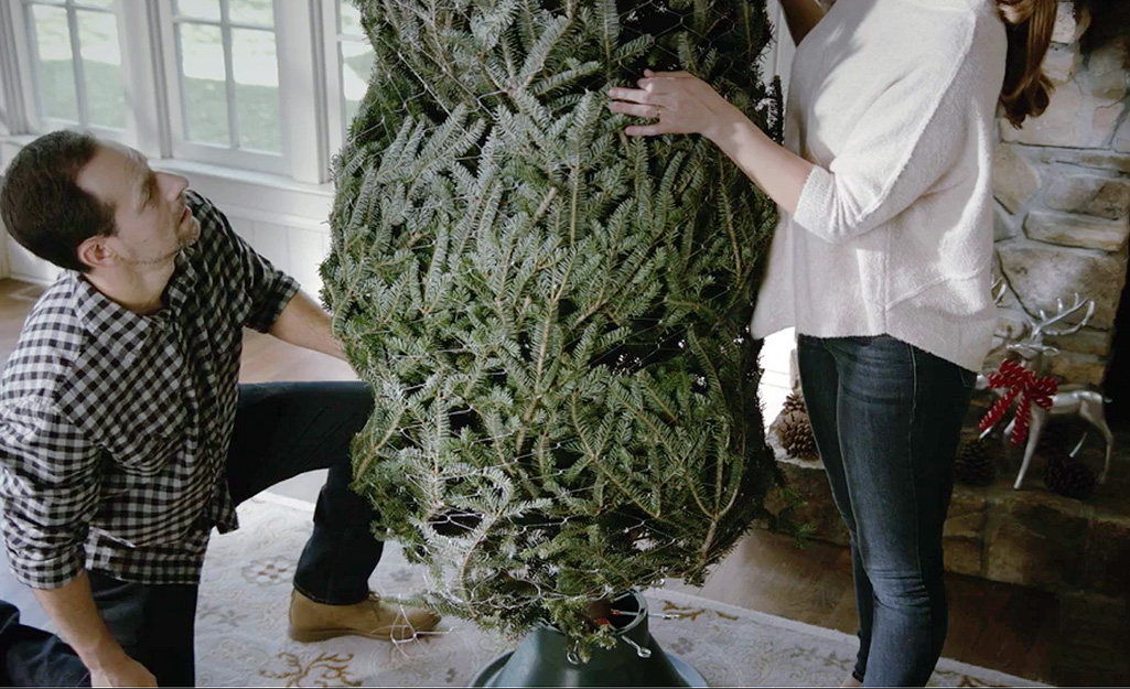 A family attempting to set up a Christmas tree.