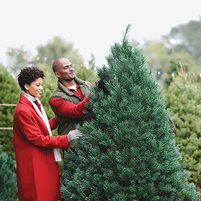 Unlit Christmas Trees Artificial Christmas Trees The Home Depot