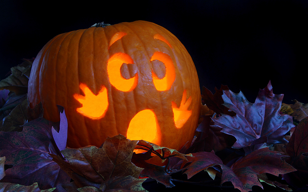 Someone holding a pumpkin in preparation for decorating.