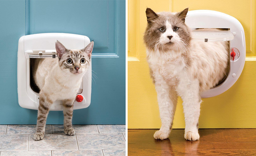 At left, a tiny cat goes out a small cat door. At right, a fluffy cat exits a large cat door. 