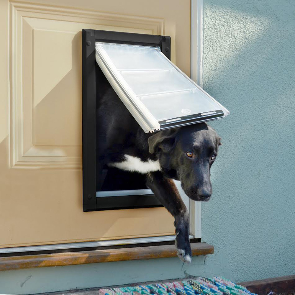 A black and white dog goes through a dog door to get outside.