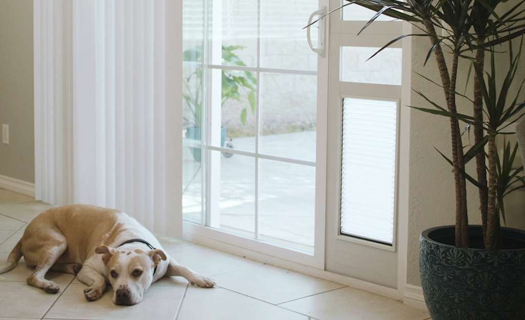 Home depot clearance doggie door patio