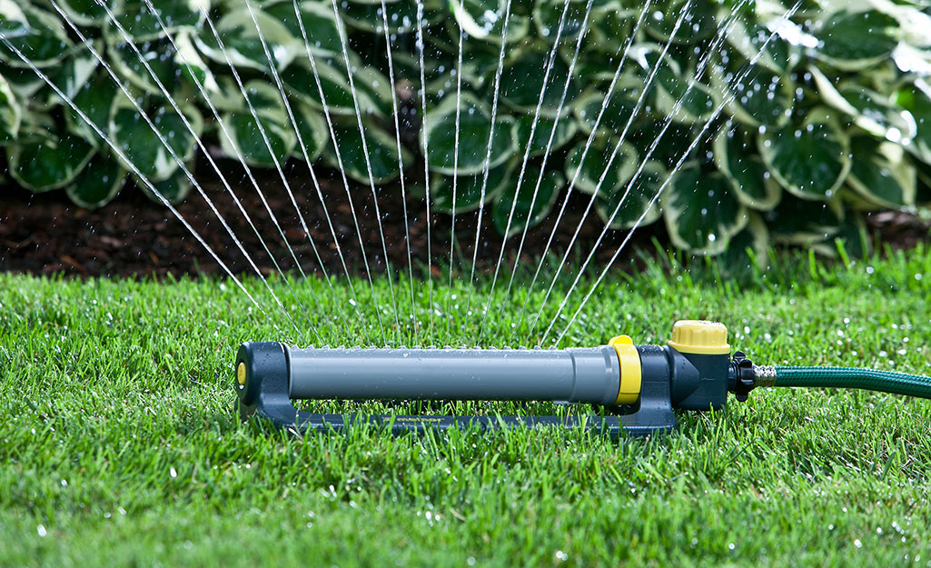 A lawn being watered with a sprinkler timer.
