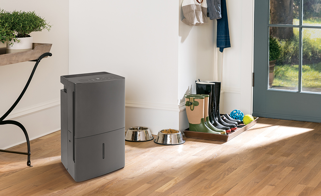 How to Choose a Dehumidifier for a Basement