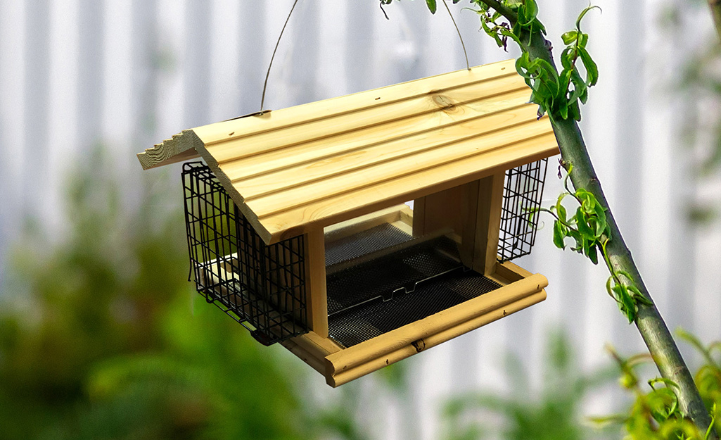 A wooden bird feeder hangs in a backyard.