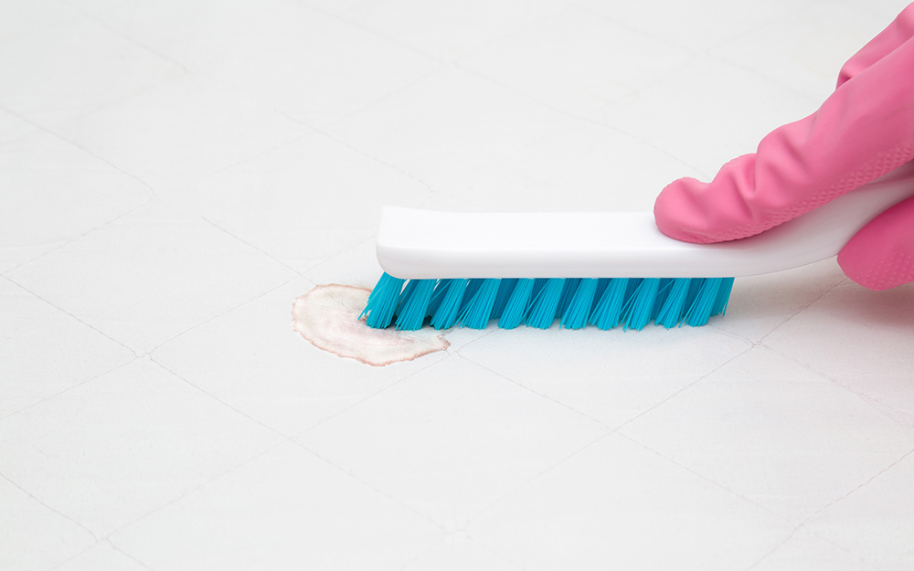 Someone using a brush to remove a mattress stain.