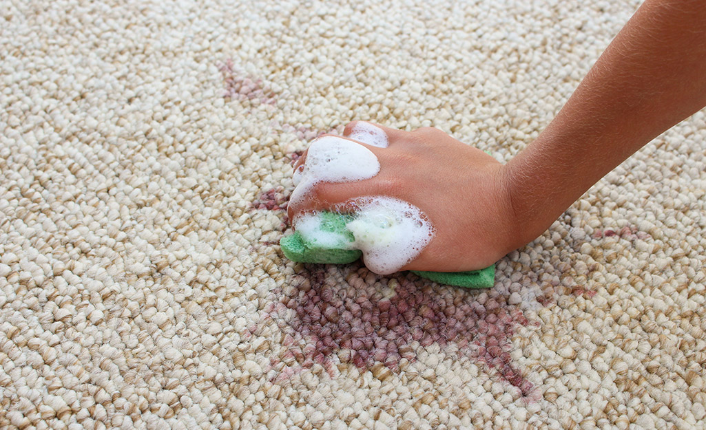 A person using a soapy sponge to spot clean a rug.
