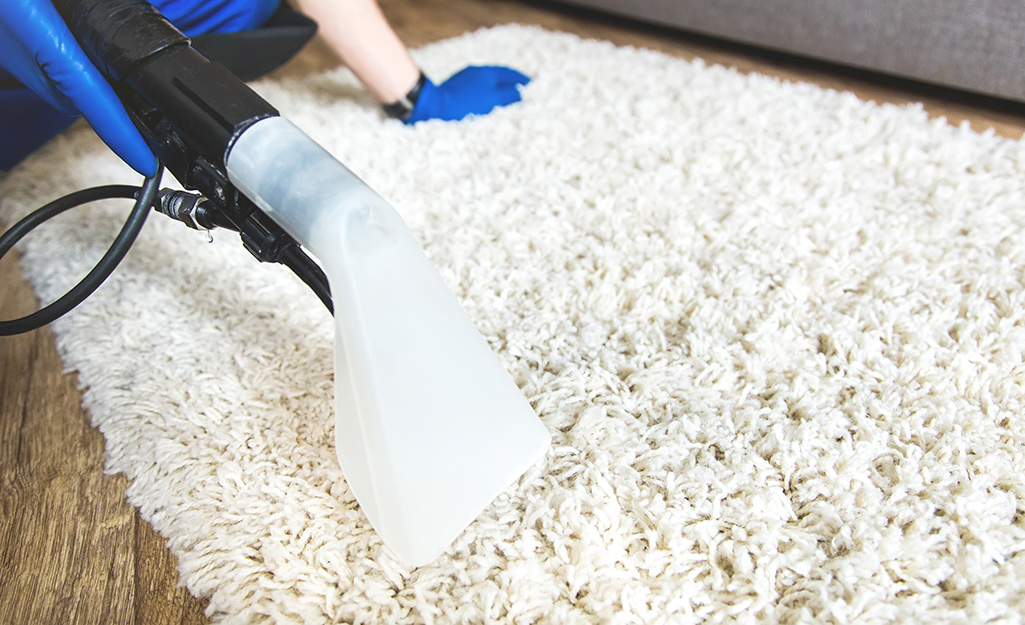 Wauconda Area Rug Cleaning Services