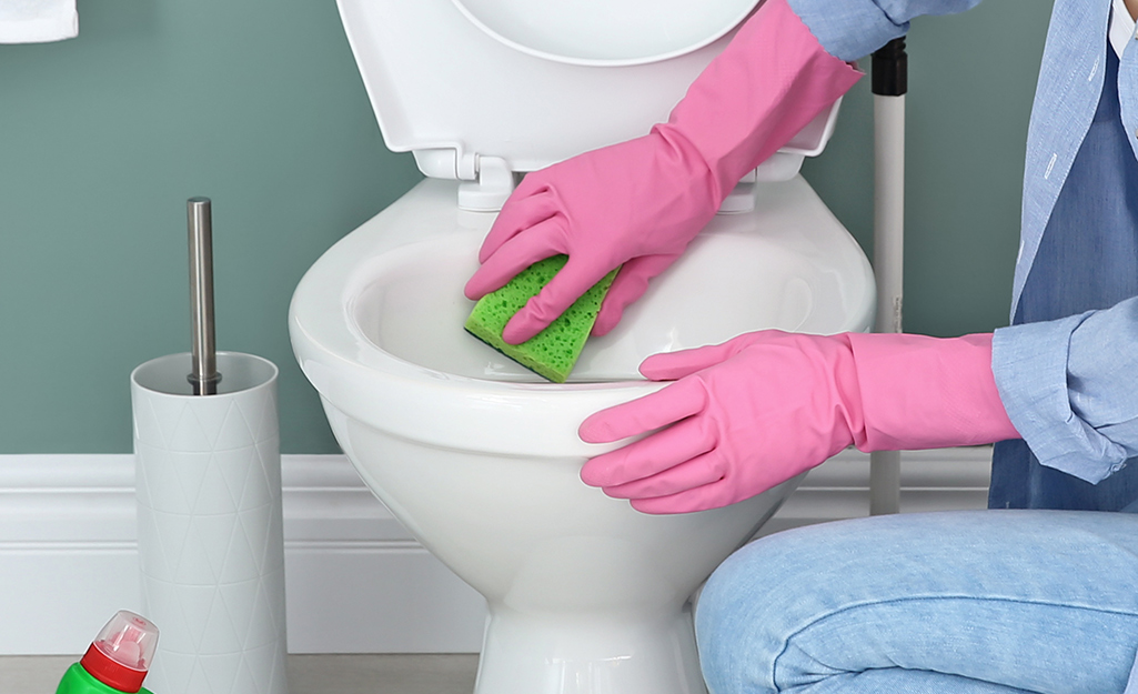A gloved hand cleaning a toilet. 