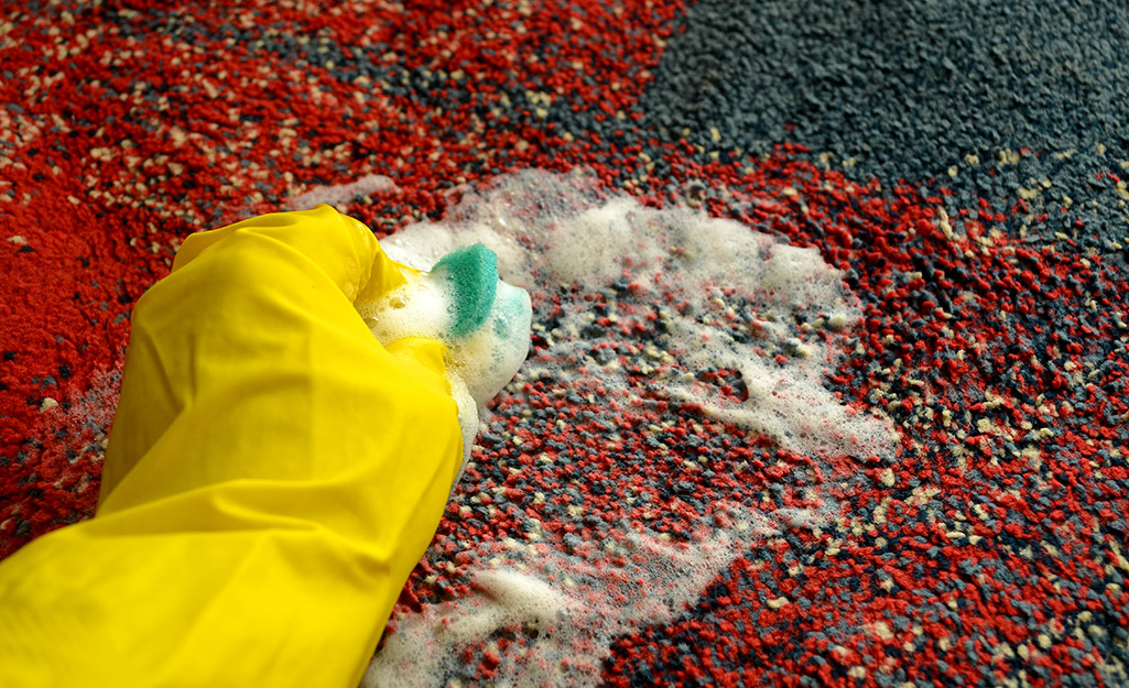 A person scrubbing a section of rug.