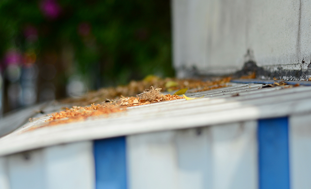 Leaves and other debris lay on top of an awning.