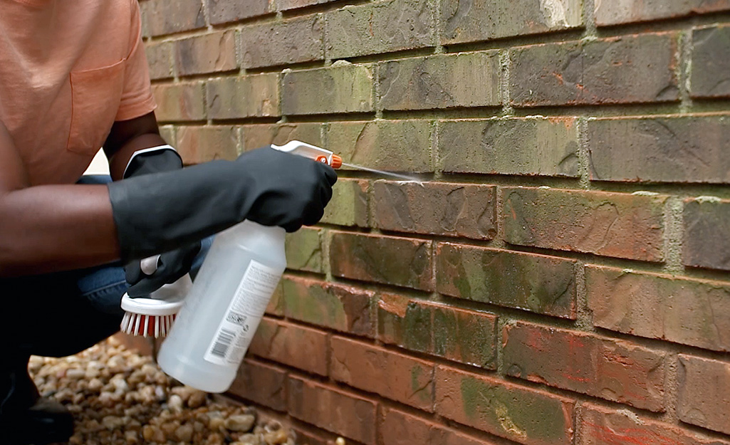 A person sprays cleaning solution to algae on a brick wall.
