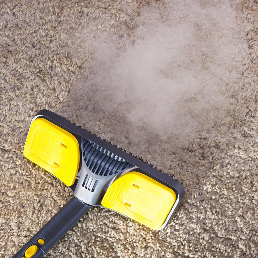 A steam cleaner is used to clean carpet. 