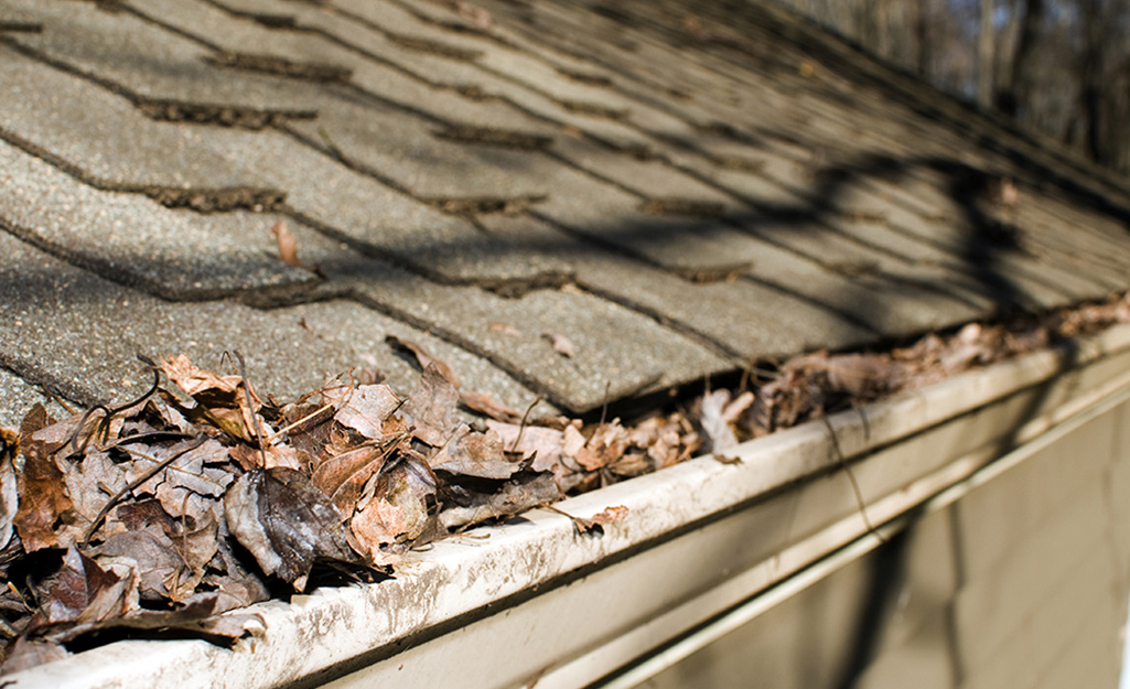 A house with leaf-filled gutters.