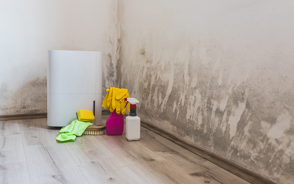 A dirty wall with cleaning supplies beside it.