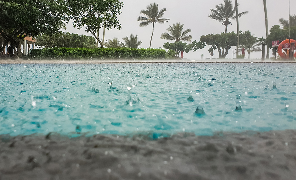 Rain drops fall on the surface of a swimming pool. Palm trees and shrubs can be seen in the background.