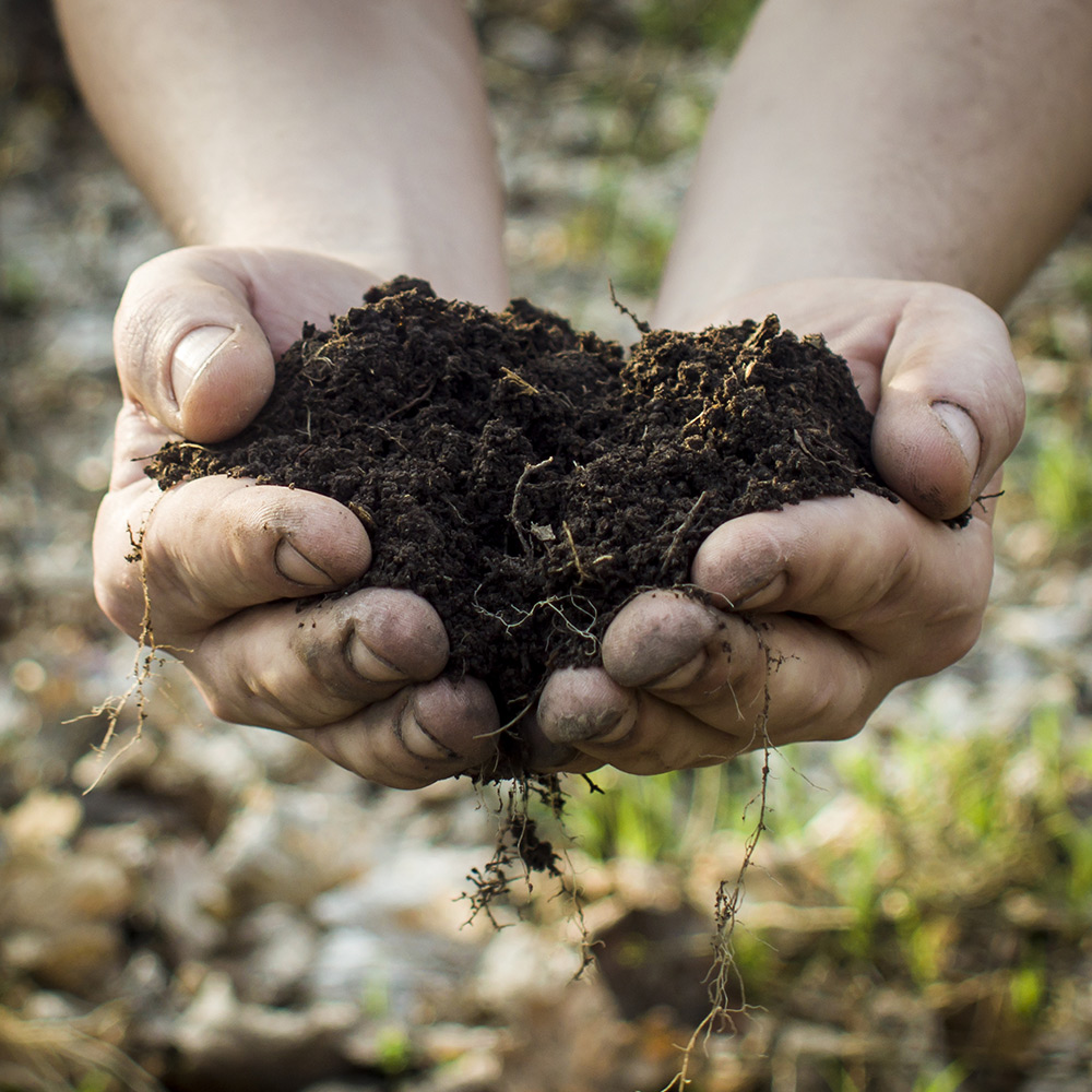 Easy ways to get started with composting! One of the easiest and low