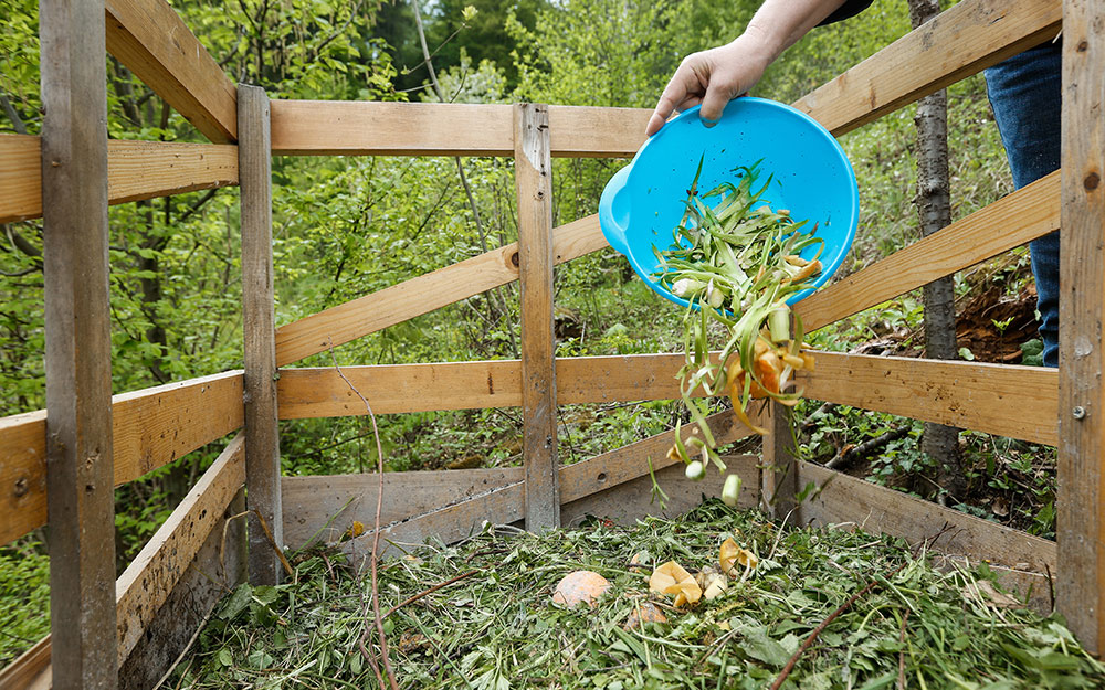 person pouring organic food scraps onto a compost pile person pouring organic food scraps onto a compost pile