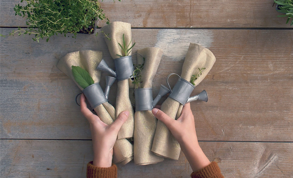 Four napkin rolls with herb springs.