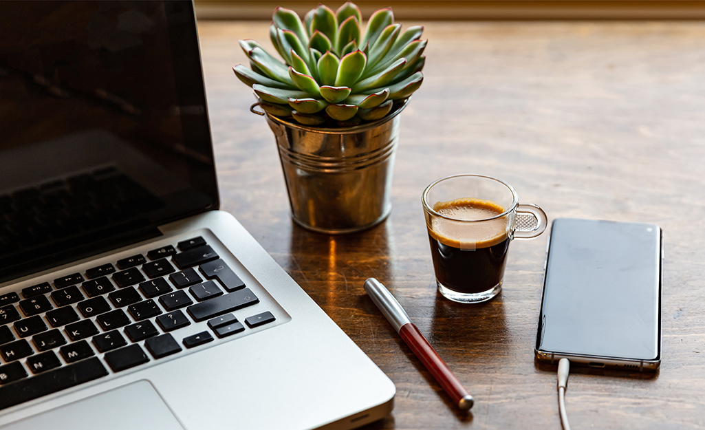 A green succulent in a small planter next to a laptop and desk accessories on a work table. A green succulent in a small planter next to a laptop and desk accessories on a work table.