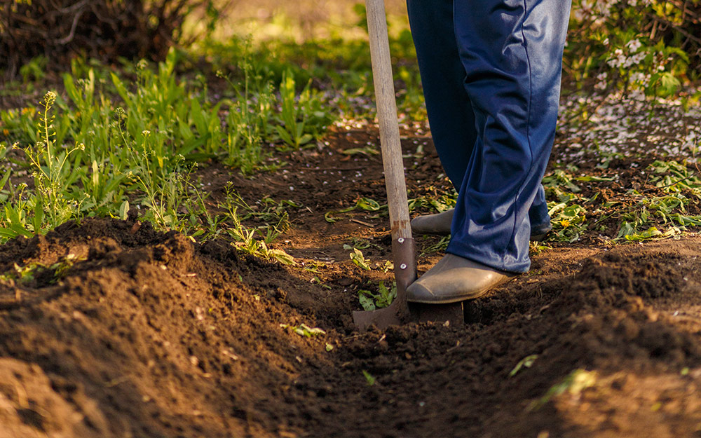 Someone using a shovel to dig a trench for a rain garden.