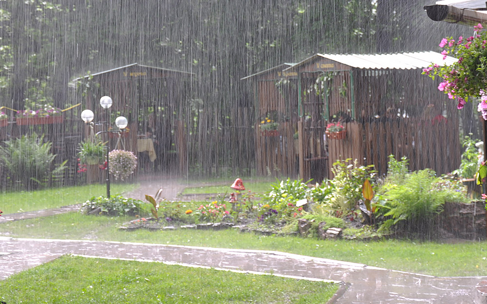 A rain garden planted near a shed collecting water during a rainstorm.