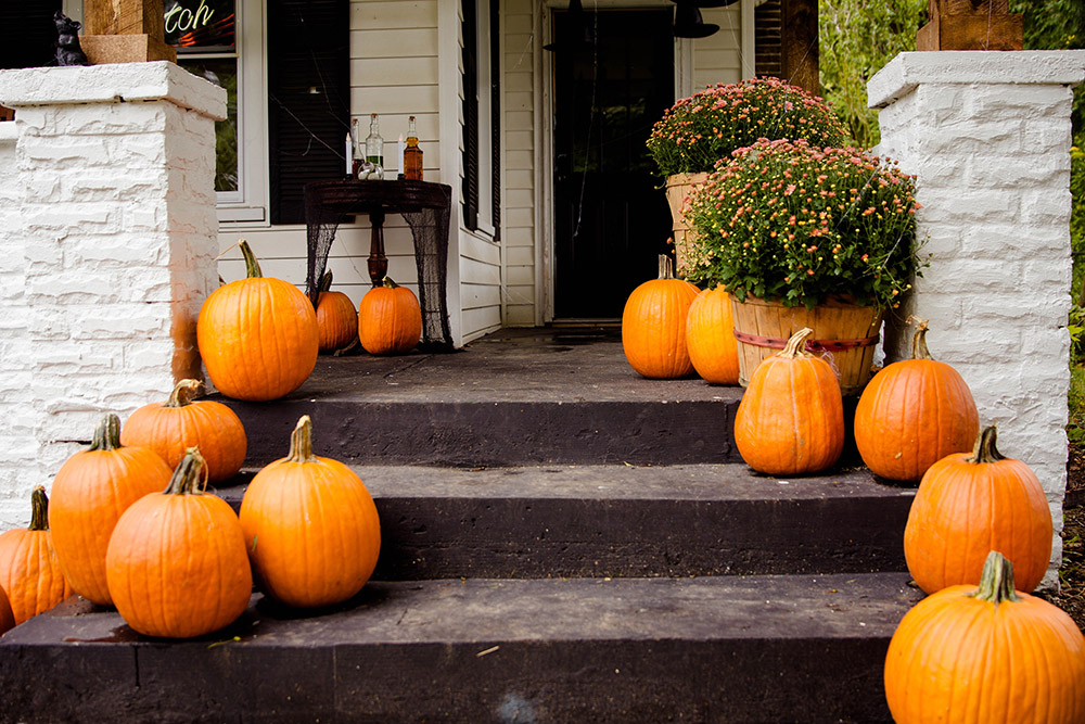 An entryway decorated with pumpkins and mums for Halloween.