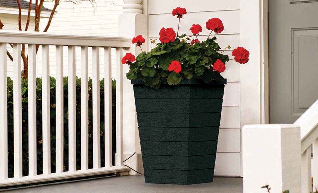 A tall planter on a porch with red flowers