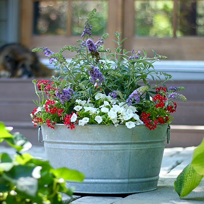 DIY Hanging Gutter Planter