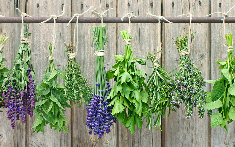 Herbs hung upside down to dry.