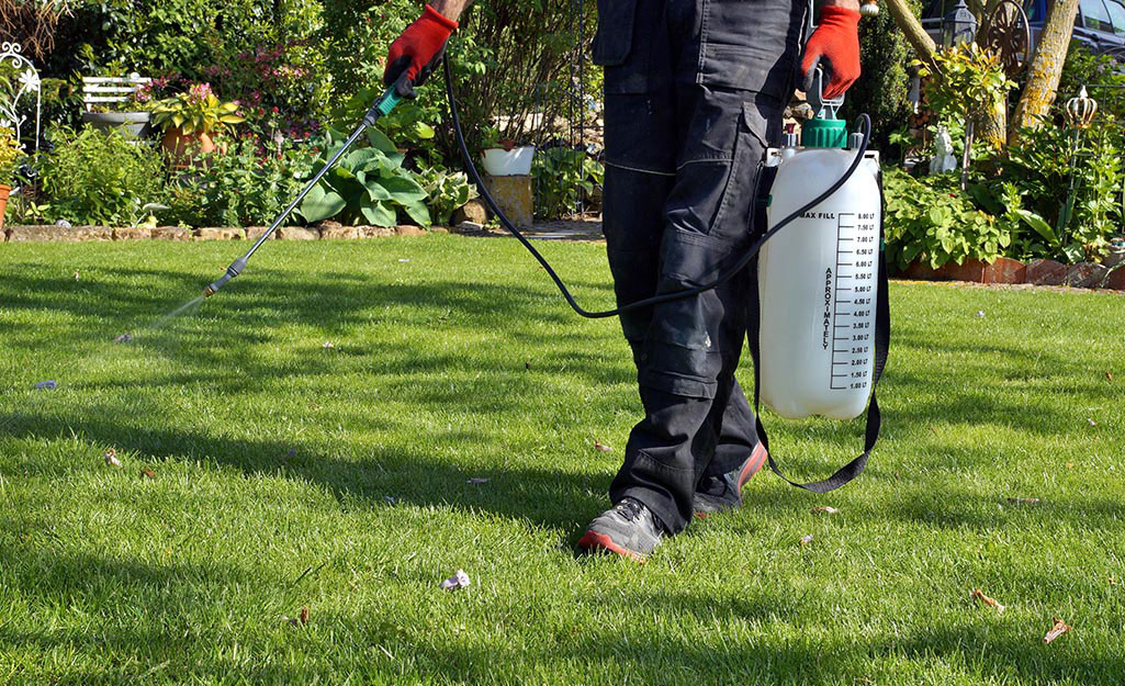 A person treating a lawn with a spray.