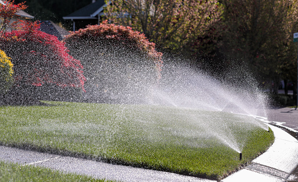 Sprinklers on a lawn