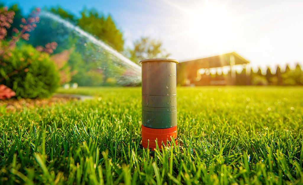 A sprinkler head spraying water over a lawn.