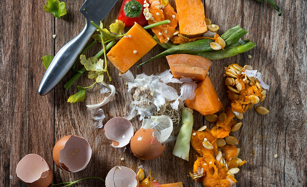 Egg shells, chunks of foods and other waste that go into a garbage disposal. 