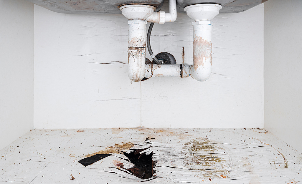 Damage from a prolonged water leak to the floor of a kitchen cabinet.