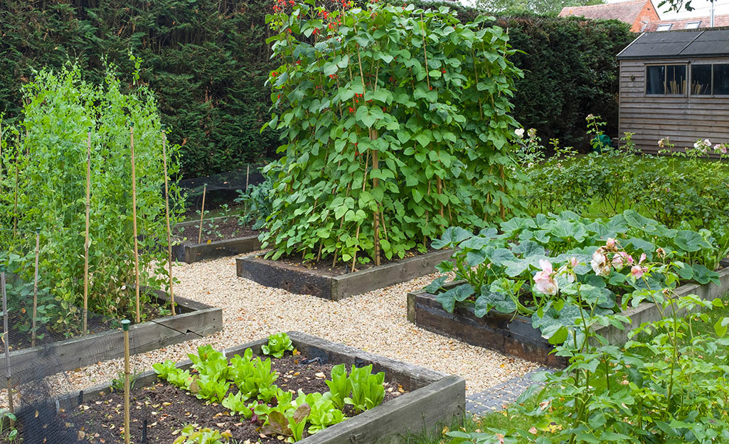 Flowers and vegetables grow in raised beds separated by paths of crushed stone.