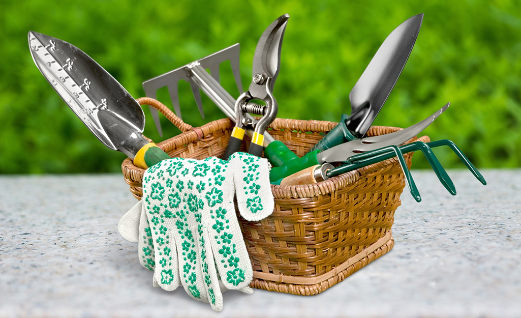 Garden gloves drape over the side of a basket that also holds a trowel, clippers and other garden hand tools.