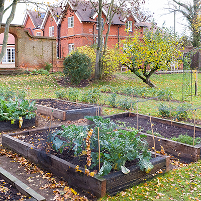 How to Garden in the Off-Season with These 8 Tips