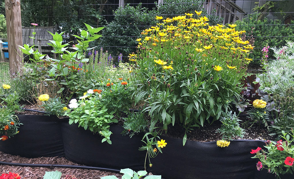 Recycled Grow Bags for Backyard Veggies: A New Raised Bed Style