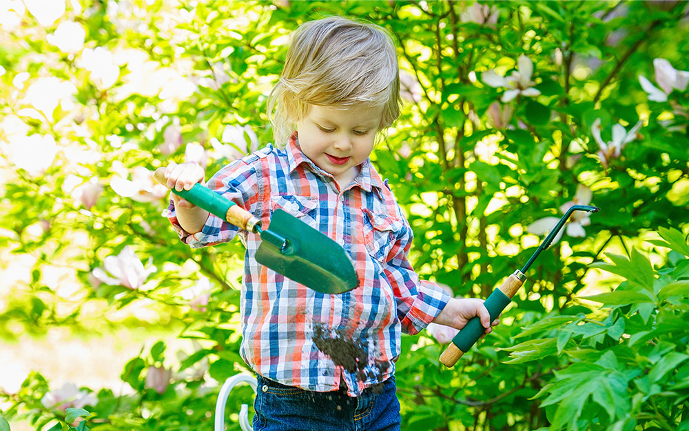 Little boy in a garden using a trowel and weeding tool 
